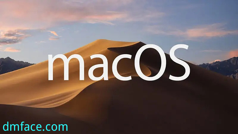 large picture of the cover