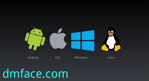 large picture of the cover